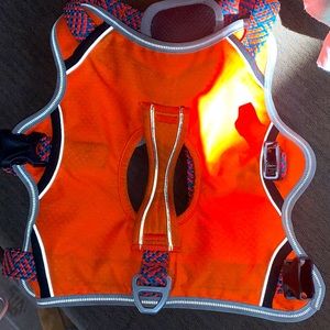 Orange Arcadia trail dog harness